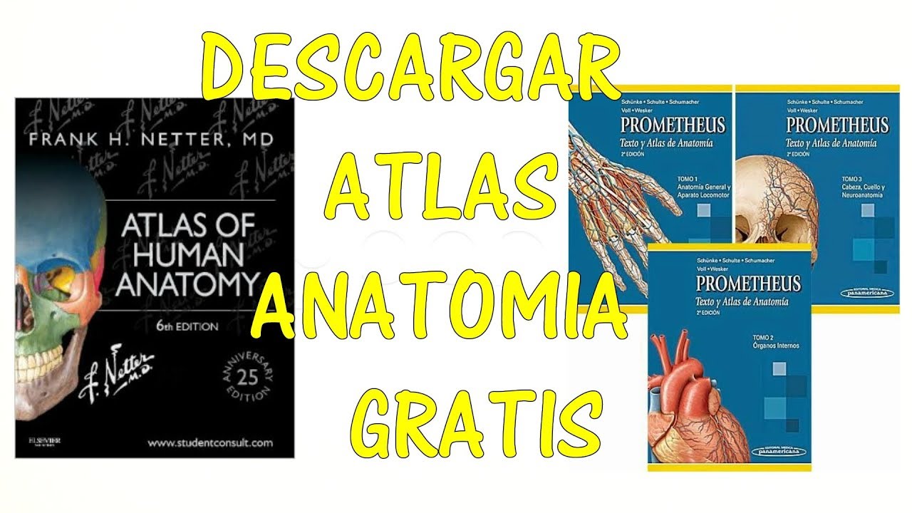 atlas de anatomia humana pdf
